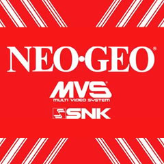Neo Geo Multi Video System